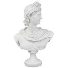 Load image into Gallery viewer, Design Toscano Apollo Belvedere Bust Statue Busts Pasal 