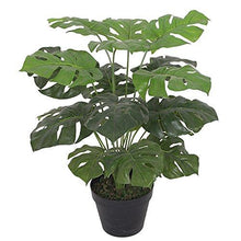 Load image into Gallery viewer, Artificial Monstera Plant 60cm Black Pot Flower Pots Pasal 