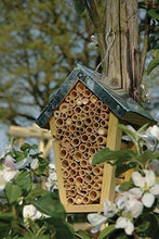 Load image into Gallery viewer, Design Wood Bee House Insect Hotels Pasal 