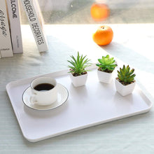 Load image into Gallery viewer, Nubry Mini Fake Succulent Plants Set of 6 Artificial Plants Pasal 
