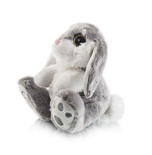 Load image into Gallery viewer, Bunny Plush Rabbit Floppy Ear Unknown Pasal 