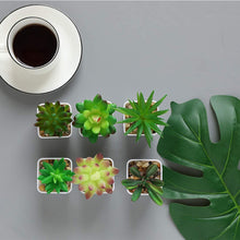 Load image into Gallery viewer, Nubry Mini Fake Succulent Plants Set of 6 Artificial Plants Pasal 