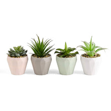 Load image into Gallery viewer, Green Artificial Succulents Plants Set Decorative Artificial Plants Pasal 