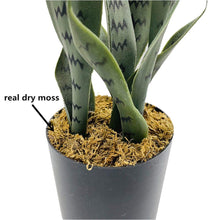 Load image into Gallery viewer, Artificial Plants Sansevieria 40cm Artificial Plants Pasal 