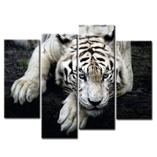 Load image into Gallery viewer, Black And White White Tiger Wall Art Posters &amp; Prints Pasal 