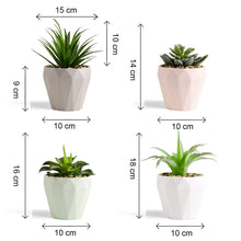 Load image into Gallery viewer, Green Artificial Succulents Plants Set Decorative Artificial Plants Pasal 