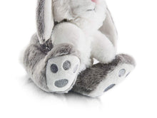 Load image into Gallery viewer, Bunny Plush Rabbit Floppy Ear Unknown Pasal 