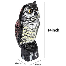 Load image into Gallery viewer, Owl Decoy 360 Rotate Head to Scare Birds Statues Pasal 