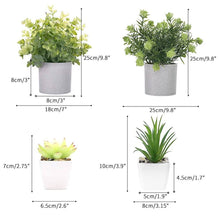 Load image into Gallery viewer, Potted Fake plants 4 mini Artificial Plants Pasal 