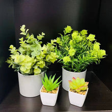 Load image into Gallery viewer, Potted Fake plants 4 mini Artificial Plants Pasal 