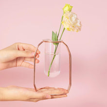 Load image into Gallery viewer, Two Sizes of Metal Frame Clear tube Glass vases Vase Pasal 