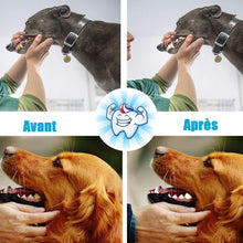 Load image into Gallery viewer, Dog Toys Avoiding Dogs Boredom Anxiety Ropes Pasal 