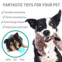 Load image into Gallery viewer, Dog Toys for Boredom Pack of 6 Toys Pasal 