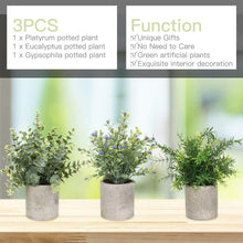 Load image into Gallery viewer, Decorative Artificial Plants 3 Sets Green Plants Indoor Real Boom Artificial Plants Pasal 
