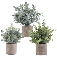Load image into Gallery viewer, 3 Pack Mini Artificial Plant Potted Plants Artificial Plants Pasal 