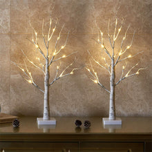Load image into Gallery viewer, Set of 2 Small Birch Twig Tree Lights Photo Display Tree with 24 Warm White LEDs Trees Pasal 