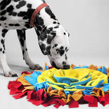 Load image into Gallery viewer, Mat for Dogs Interactive Feeding Feeding Mats Pasal 