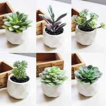Load image into Gallery viewer, 16 Pack Artificial Succulent Flocking Plants Unpotted Mini Artificial Plants Pasal 