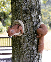 Load image into Gallery viewer, Novelty Red Squirrel Garden Animal Tree Peeker Novelty Statues Pasal 