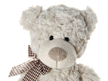 Load image into Gallery viewer, Adorable Stuffed Animal Teddy Bear Soft TOY Stuffed Animals Pasal 