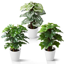 Load image into Gallery viewer, Mini Indoor Artificial Plants in Pots 24cm Artificial Plants Pasal 