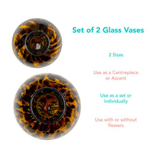 Load image into Gallery viewer, Glass Vase Decorative Round Flower Vase Pasal 