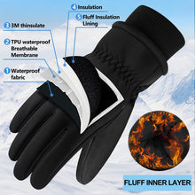 Load image into Gallery viewer, Winter Warm Gloves Men Women Touchscreen Windproof Gloves Skiing Pasal 
