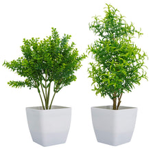 Load image into Gallery viewer, Artificial Plants Indoors in Pots 2 Pack Artificial Plants Pasal 