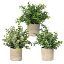 Load image into Gallery viewer, Mini Potted Artificial Plants Faux Fake Greenery 3 Pack Artificial Plants Pasal 