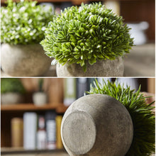 Load image into Gallery viewer, Artificial Plants in Grey Pots Set of 3 Artificial Plants Pasal 