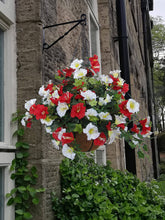 Load image into Gallery viewer, Outdoor Artificial Hanging Basket in Red &amp; White Artificial Flowers Pasal 