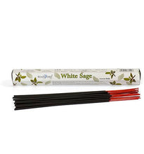 Load image into Gallery viewer, Stamfords White Sage Incense Pack of 6 Incense Burner Pasal 

