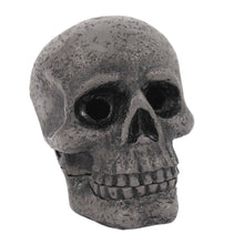 Load image into Gallery viewer, Skull Incense Cone Holder Unbranded 