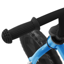 Load image into Gallery viewer, Balance Bike 10 inch Wheels Blue vidaXL 