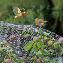 Load image into Gallery viewer, 12 x Anti Bird Garden Netting Pond Net Protection Plants Veg Crops Fruit Fine Mesh 2M X 10M GARDEN HABITATS 